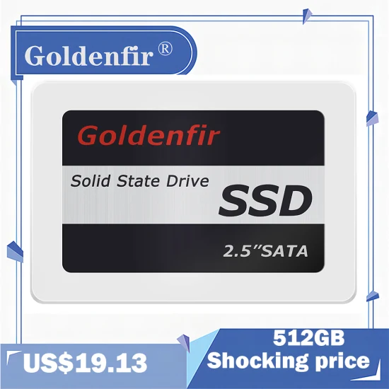 Unità a stato solido Goldenfir 60 GB 120 GB 2.5