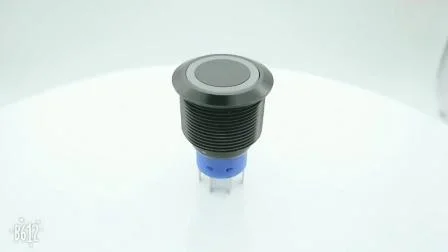Interruttore a pulsante micro automatico con interruttore a levetta illuminato a LED elettronico impermeabile
